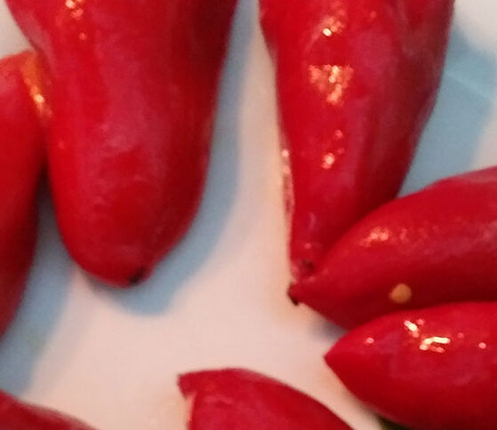 Pimientos del piquillo bacalao