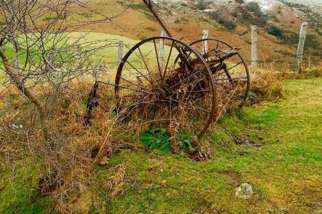 Tendencias gastronómicas en el País Vasco y Navarra